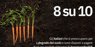 “Italian Food Responsibility Study”: italiani impegnati a proteggere il suolo e attenti alla sostenibilità alimentare