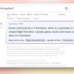 Non solo Bing, anche DuckDuckGo si lancia nella ricerca web con AI