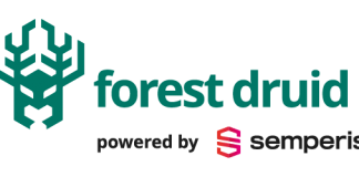 Nuove funzionalità Forest Druid di Semperis