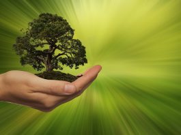 Compliance e supply chain, ERP e SRM al servizio dell’EUDR